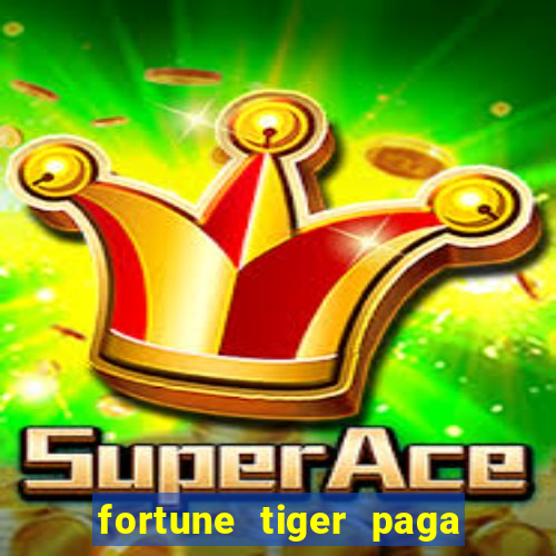 fortune tiger paga de madrugada